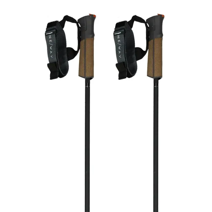 Fischer Bastones Gt 11 Carbon Mag Marrón Unisex Adulto - 1