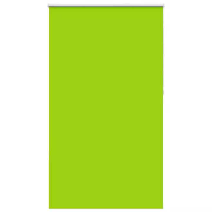 vidaXL Estor Enrollable Opaco hojas verde 140x230cm Tela Ancho 136,6cm - 1