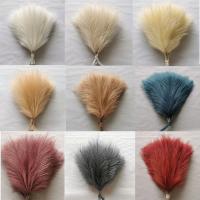 5pcs De Pampas Artificial 42cm Simulación De Pluma Para Bodas Decoración Bohemia Del Hogar Uso En Aniversarios Baños De Natación Cumpleaños Decoración De Casa - details 2