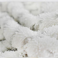 Parches De Mopa De Vapor Para Bissell PowerFresh Serie 1806 1940 1544 1440 Parte De Repuesto Modelo # 5938 # 203-2633 - details 1