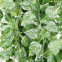 1 Pieza De Plantas Artificiales Enredadera Para Pared Colgante Decoración De Pared Verde Falsa Flor De Rotan Venta Al Por Mayor - details 3