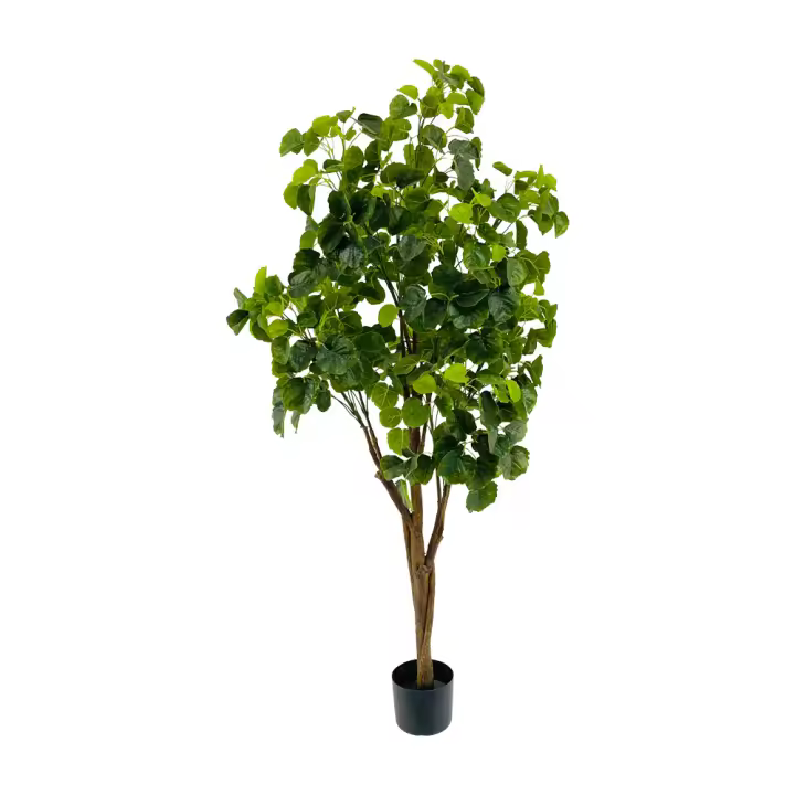 Poenia Arte Floral - Planta Artificial Árbol Aralia 150cm - REF 631277 - Decoración Realista - 1