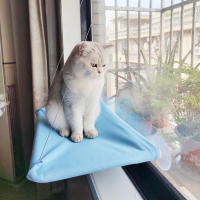 Nueva Cama De Gato Colgante Con Hamaca Cómoda Para Ventana Sillón De Sol Soporte De 20 Kg Plástico Resistente a Rock Climbing Frame Para Gatos Y Gatitos Suministros De Mascotas - details 11