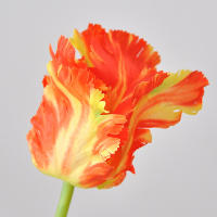 Flor Artificial De Pavo Real Y Ramo De Tulipán 3D Para Decoración De Bodas Y Fiestas En Vaso De Mesa Jardín Interior Y Exterior Toque Realista - details 4
