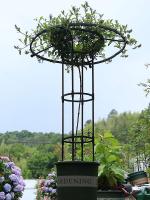 Jardín enrejado para plantas y flores trepadoras, enrejado de plantas de metal para uso al aire libre snngv - details 1