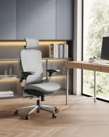 Silla de oficina ergonómica en malla ajustable, respaldo basculante, asiento móvil, base de estrella de aluminio, soporta hasta 150 kg, disponible en gris paloma o negro tinta - details 1