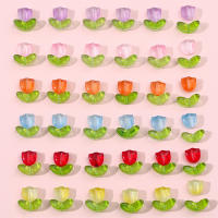 25 Sets De Polvo De Gel Para Manualidades Perlas De Tulipán De Vidrio Gradiente Material Para Hacer Pulseras Collares Accesorios Y Peinados DIY - details 9