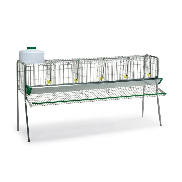 BATERIA GALLINAS 5 DPTOS. - 1