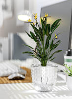 Maceta Automática De Riego Por Absorción Doble Capa Transparente Plástico Para Suculentas Maceta Decorativa Para Plantas De Escritorio - details 2