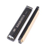Harmonica Profesional De 24 Agujeros Para Principiantes Instrumento Musical De Metal Organ Blues Harp Harmonium - details 1