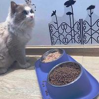 Tazas De Alimentación Elevadas Para Mascotas Acero Inoxidable Dispensador De Alimentos Y Agua Para Perros Y Gatos Resistente a Manchas Tazas Doble Para Alimento Seco Y Agua - details 9