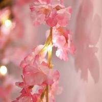 Guirnalda De Flores Artificiales Con Luces De Hilo 20LED 2M Cherry Blossom Para Decoración De Bodas Fiesta Dormitorio - details 4