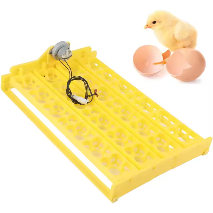 Incubadora de huevos, máquina para incubar 24 huevos de aves de corral, incubadora automática de huevos con giro, bandeja para incubar huevos de pollo, pato, ganso, codorniz, aves, pavo (12 V) - 1
