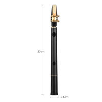 Mini Saxofón C Llave HiXing De Bolsillo Material ABS Con Boquillas Y 10 Piezas De Garrafa Instrumento De Viento Muslady Con Bolsa De Transporte - details 7