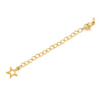 10 Pcs Cadena De Acero Inoxidable Con Hebilla De Cangrejo Y Pendiente De Estrella Hueca Para DIY Pulsera Y Collar Único Y Bonito - details 4