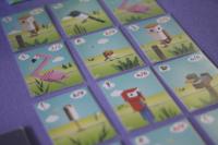 Maldito Games - Cubirds - Juego de mesa - Colección de sets - details 0
