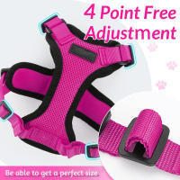 ATUBAN Juego De Correa Y Arnes Para Gato Estilo Elegante Y Antirrueda Ajustable Transpirable Con Encaje Reflectante Para Mascotas - details 4