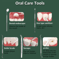 Purificador De Agua Ultrasonido Para Limpieza Dental Eliminador De Cal Y Placa Scraper De Ultrasonidos Para Dientes Recargable - details 10