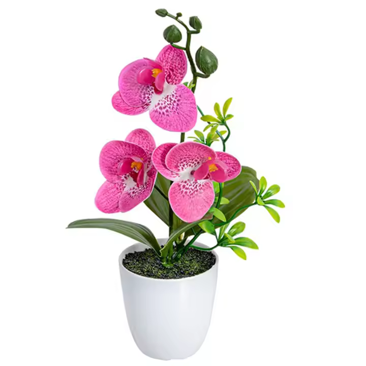 Orquídea Artificial Falsa Phalaenopsis Bonsái Para Interiores Y Exteriores Decoración De Oficina Hogar Bodas Y Eventos - 1