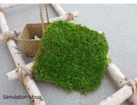 Carpetas De Mostrador Artificiales De Moss Para Jardín Exterior Decoración De Paisaje Bonsái Carpeta De Hierba Falsa Verde Simulación Para DIY Y Terrarios - details 3
