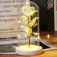 Rosa De Boda Con LED Galaxia Enchanted Con Luz En Domos Regalo De San Valentín Navidad Día De La Madre Belleza Y La Bestia Para Interior - details 15