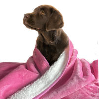 Manta Para Perros Impermeable Bucephalus Reversible Suave Y Lavable Protección Para Sofá Manta Para Gatos Y Perros Con Patrón De Animales - details 16