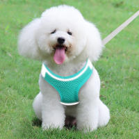 Juego De Correa Y Arnes Para Gato De Tela Malla Suave Ajustable Con Cinturones Reflectantes Para Pequeños Y Grandes Gatos Vestido De Caminar Con Correa - details 1
