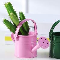 1PC Vaso De Riego De Metal Para Jardín Y Flores Pequeño Con Gran Capacidad Para Niños Y Adultos Para Rociar Plantas - details 3