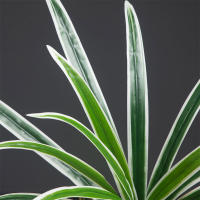 Gran Planta Artificial De Bambú 60cm Con 18 Hojas Hojas Verdes De Orchidáceas Para Decoración De Jardín Y Hogar Material Plástico - details 12