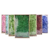 Plantas Artificiales De Hierba De Mostrador Para Decoración De Hogar Y Habitaciones Mini Landscape Falso Grama 20/40/100g Para DIY Crafts Y Jardín - details 0