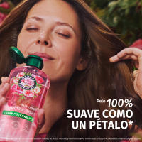 Herbal Essences | Suavidad Champú Aroma A Rosas. Ayuda A Suavizar E Hidratar El Pelo Seco. Con Esencia De Rosas. De Origen Natural*. Sin Siliconas, Vegano Y No Testado En Animales 6x350ML - details 0