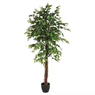 Factory cuadros- Arbol artificial ficus verde - 1