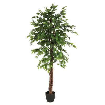 Factory cuadros- Arbol artificial ficus verde - 1