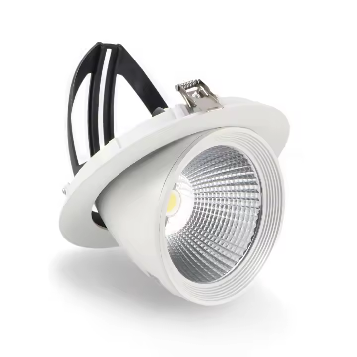 IluminaShop - Foco Downlight LED Basculante 35W Orientable Blanco CCT - 1