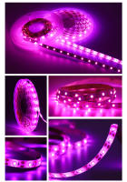 Luz De Crecimiento Para Plantas LED 5V USB Espectro Completo Fita De 1m 2m 3m Para Semillas Flores Invernadero Y Plantas Hidroponicas Iluminación - details 0