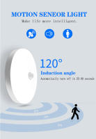 Lámpara De Techo LED Con Sensor De Movimiento 110V 220V Moderna Iluminación Nocturna Para Entrada Balcón Luz Inteligente Celing Lustre - details 1