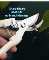 Tijeras De Jardinería Multifuncionales De Acero Inoxidable Para Recogida De Frutas Poda De Árbores Grafting De Flores - details 6