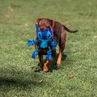 Cerdá Stitch | Juguete Resistente de Muñeco para Perros con Interior de Cuerda - details 0