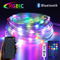 Luz De Hada RGBIC USB 5V 25/20/10M Con Control Remoto Y APP Bluetooth Para Decoración De Árbol De Navidad Y Guirnalda - details 5