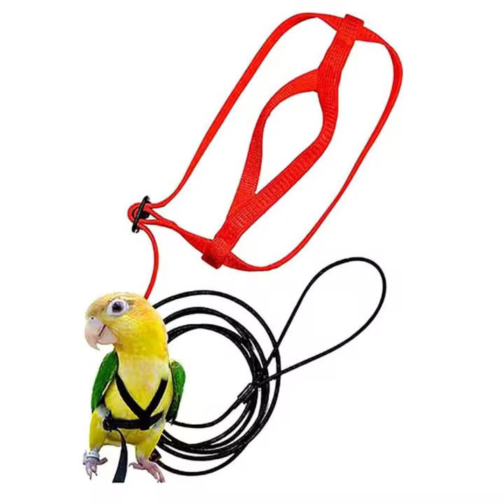 Correa De Entrenamiento Ajustable Para Papagayo Con Arnes Para Volar Al Aire Libre Fibras Resistentes Anti-Mordedura Para Adiestramiento De Pájaros - 1
