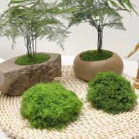 Moss Artificial Verde Para Ornamento De Jardín Decoración De Habitaciones Miniatura De Plantas Verdes DIY Para Macetas Y Artesanía - details 0