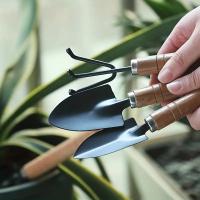 Juego De Herramientas De Jardín 3pcs Rake Pala Mini Para Plantas Succulentas Y Tierra Suave Aluminio Herramienta De Jardinería - details 6