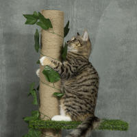 PawHut Árbol para Gatos del Suelo al Techo 37x21x202-242 cm Torre para Gatos con Altura Ajustable 4 Plataformas de Césped Artificial Hojas Artificiales y Poste de Yute Verde - details 4