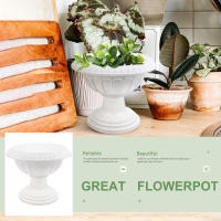 Maceta Plástica Para Plantas Hidroponicas Decorativa Para El Hogar Y Balcones Adecuada Para Scindapsus Y Otros Plantas - details 7