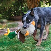 (43CM) KONG SHAKERS HONKERS PATO DE PELUCHE PARA PERROS GRANDE - details 1