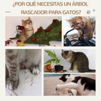 PawHut Árbol Rascador para Gatos Grande Altura 124 cm Torre de Escalada con Plataformas Escalera Cueva Postes de Yute y Bola Colgante Juego y Descanso 60,5x40x124 cm Gris - details 3