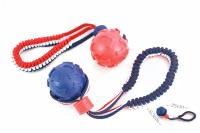Pelota de hueso de goma de juguete para mascotas con cordón elástico - details 0