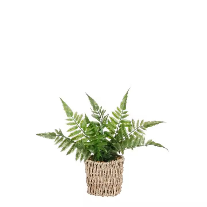 Helecho Artificial Verde Claro en Maceta de Mimbre 26cm - Ideal para Decoración - 1