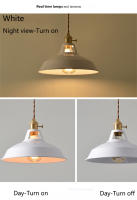 Lámpara Colgante Retro Industrial LED Para Restaurante Cocina Hogar Decorativa De Metal En Colores Variados Para Iluminación De Sala De Estar Estudio Dormitorio Hotel - details 12