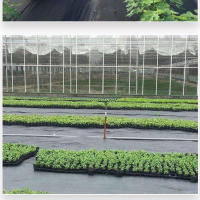 Tela De Control De Malas Hierbas PE Tejida 16.4 Pies/32.8 Pies Para Plantas Anti Grama Suelo Permeable Para Riego Jardín Invernadero - details 2